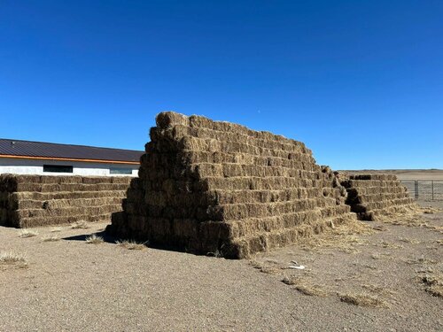 Малчдад үнэ төлбөргүй өвс, тэжээл, хүнсний багц хүргэх баг Улаанбаатараас хөдөлжээ